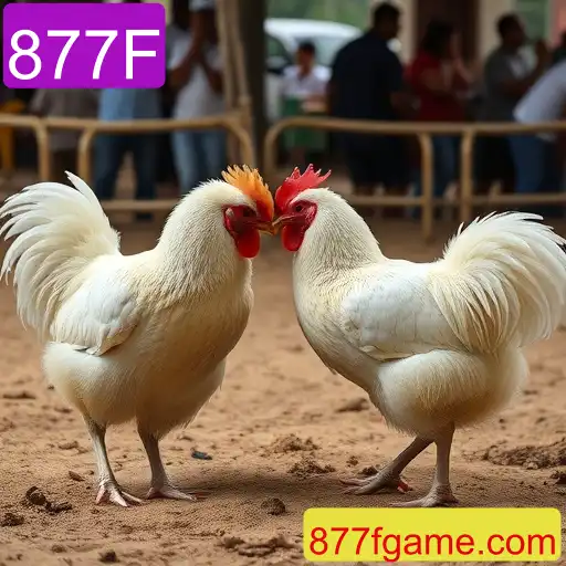 Jogos de sabong